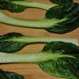 600+TAT SOI CABBAGE Seeds Organic Non-Gmo Spring/Fall Garden Containers KIM-CHI