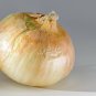 200+TEXAS GRANO 1015Y ONION Seeds Organic Non-Gmo Short Day Spring/Fall Garden