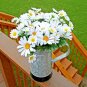 USA Seller SILVER PRINCESS Flower 300 Seeds Shorter Compact 18" SHASTA DAISY Bigger Blooms