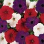 USA Seller PETUNIA HYBRIDA MIX Flower 200 Seeds Hanging Baskets Beds Window