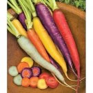 USA Seller RAINBOW CARROTS 1000 Seeds All Natural 5 Colors Organic Non-Gmo