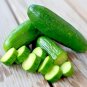 USA Seller BEIT ALPHA CUCUMBER 30 Seeds Organic Non-Gmo MIDDLE EAST Sweet
