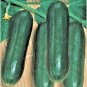 USA Seller BEIT ALPHA CUCUMBER 30 Seeds Organic Non-Gmo MIDDLE EAST Sweet