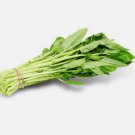 50 Seeds White Stem Water Spinach Ong Choy