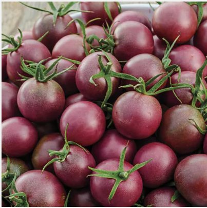 30 Seeds Black Cherry Tomato Non-GMO Planting USA