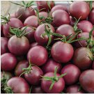 30 Seeds Black Cherry Tomato Non-GMO Planting USA