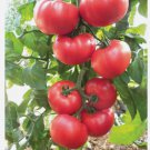 100 Beefsteak Heirloom Tomato Seeds NON-GMO Slicing Tomato Planting USA