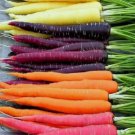 300 RAINBOW CARROT SEEDS Planting USA