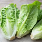 500 Little Gem Lettuce Seeds Non-Gmo Planting USA