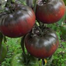 30 Black Krim Tomato Seeds Non-Gmo Rare Heirloom Variety Sizes Planting USA