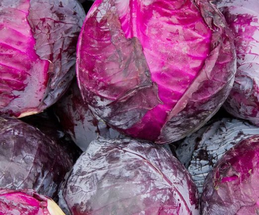 250 Seeds Red Acre Cabbage Coleslaw Non-Gmo Variety Sizes Planting USA