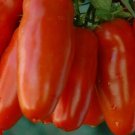 100 Seeds San Marzano Tomato Garden Vegetables Sauce Planting USA