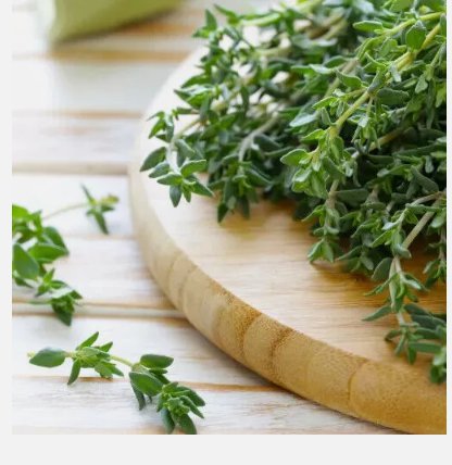 300 Seeds Thyme Heirloom Non-Gmo Planting USA