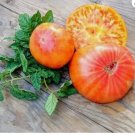 120 Big Rainbow Tomato Seeds Heirloom Organic Non Gmo Planting USA