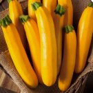 15 Golden Zucchini Summer Squash Seeds Goldmine Zucchini Non-Gmo Planting USA