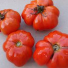 30 Oxheart Tomato Seeds Giant Tomato Huge Non-Gmo Variety Sizes Planting USA