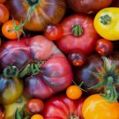 50 Rainbow Beefsteak Tomato Seeds Heirloom Non-Gmo Planting USA