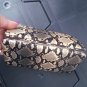 Black Gold Gray Silver Snakeskin Wallet Clutch