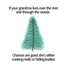 Over The River And Through The Woods Grandmas House Funny Christmas Card Greeting