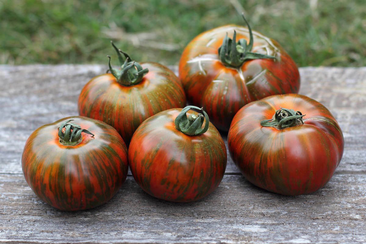 TM NEW SALE! Chocolate Stripes Tomato 30 Seeds