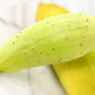 Poona Kheera Cucumber 25 Seeds