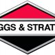 Briggs & Stratton Parts