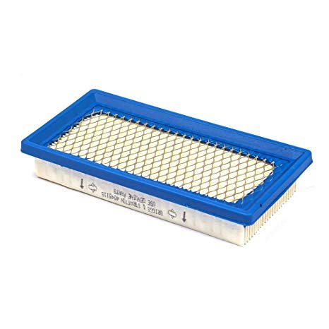 Briggs & Stratton Air Filter 494511S