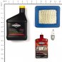 Briggs & Stratton Service Kit 5140B