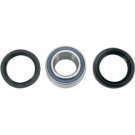 Bearing Kit for 1996-2004 Arctic Cat Models 02150076