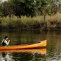 Real Canoe 16 Ft Built Cedar Strip Wood Boat ,Glossy,Paddles and Cover Assembled