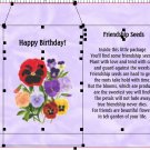 10 PERSONALIZED FRIENDSHIP SEED PACKETS FAVORS