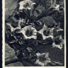 Postcard / Germany / Fröhliche Ostern /Feldpost 20560 / 1941 / The third Reich