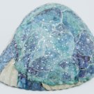 Decoupaged Cockle Shell Turtle Item 002