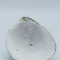 Decoupaged Cockle Shell Turtle Item 002