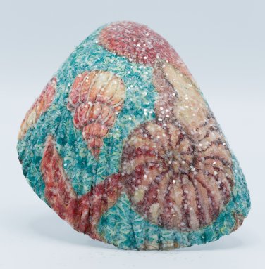 Decoupaged Cockle Shell Multi-shell Images Item 012