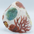 Decoupaged Cockle Shell Nautilus and Scallop Images Item 019
