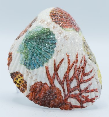 Decoupaged Cockle Shell Nautilus and Scallop Images Item 019