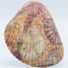 Decoupaged Cockle Shell Multi Item 020