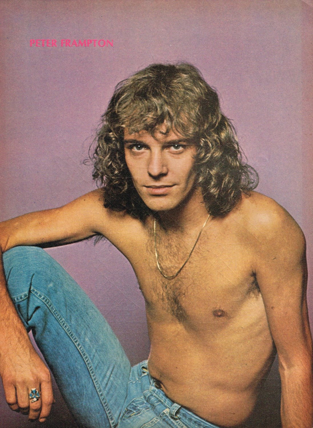 Peter Frampton shirtless  Shaun Cassidy 11" x 8" Teen Magazine Pinup Mini-Poster