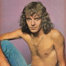Peter Frampton shirtless  Shaun Cassidy 11" x 8" Teen Magazine Pinup Mini-Poster