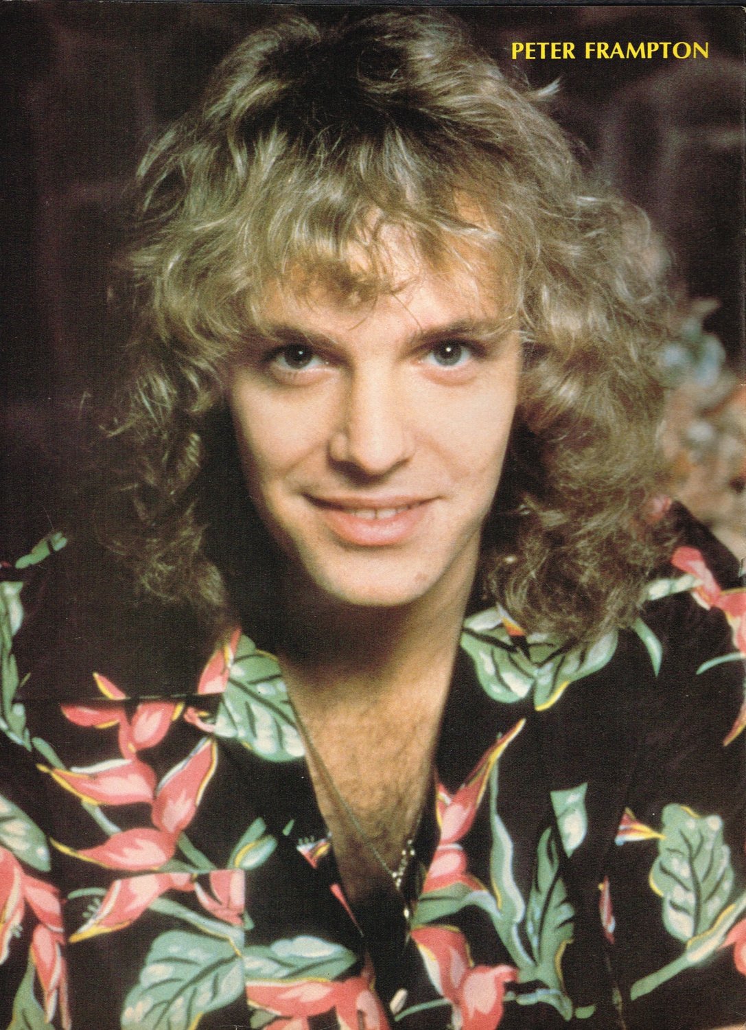 Peter Frampton - Shaun Cassidy  Singer 11" x 8" Teen Magazine Pinup Mini-Poster