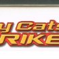 Alley Cats Strike - VHS Tape - Demo / Screener - Kyle Schmid - Super Rare