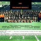 1981 CINCINNATI BENGALS 8X10 TEAM PHOTO  PICTURE NFL FOOTBALL AFC CHAMPS