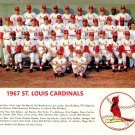 1967 ST. LOUIS CARDINALS 8X10 TEAM PHOTO BASEBALL PICTURE MLB 1967 ST. LOUIS CARDINALS 8X10 TEAM PHOTO BASEBALL PICTURE MLB