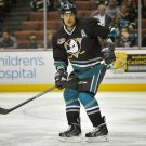 TEEMU SELANNE 8X10 PHOTO ANAHEIM DUCKS PICTURE NHL TEEMU SELANNE 8X10 PHOTO ANAHEIM DUCKS PICTURE NHL