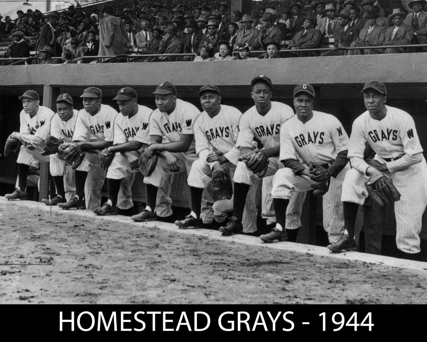 1944 HOMESTEAD GRAYS 8X10 TEAM PHOTO BASEBALL PICTURE NEGRO LEAGUE
