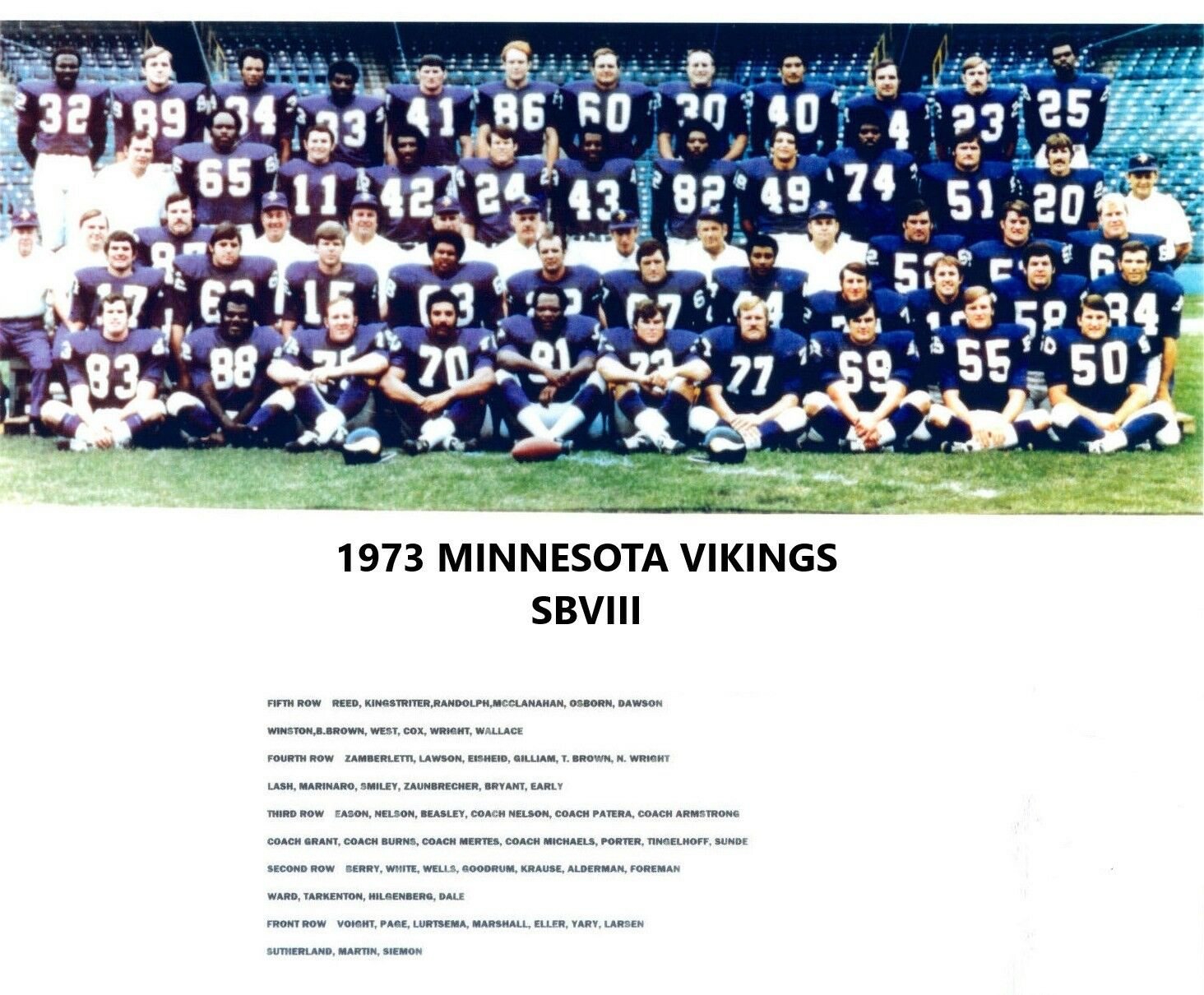 1973 MINNESOTA VIKINGS 8X10 TEAM PHOTO FOOTBALL NFL PICTURE SBVIII