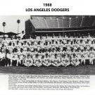 1988 LOS ANGELES DODGERS 8X10 TEAM PHOTO BASEBALL PICTURE LA MLB 1988 LOS ANGELES DODGERS 8X10 TEAM PHOTO BASEBALL PICTURE LA MLB