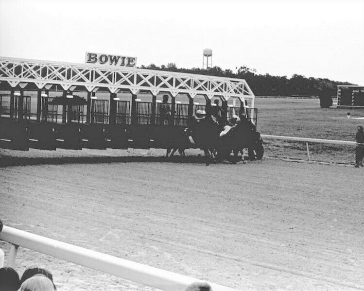 BOWIE RACE TRACK 8X10 PHOTO HORSE RACING PICTURE MARYLAND