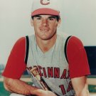 PETE ROSE 8X10 PHOTO CINCINNATI REDS BASEBALL PICTURE YOUNG MLB PETE ROSE 8X10 PHOTO CINCINNATI REDS BASEBALL PICTURE YOUNG MLB